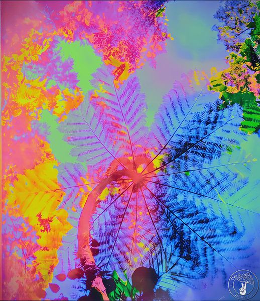 Der Sommer ist fast vorbei ( Blau ) von treesgivepeace.nl