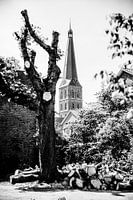 L'église St. John's