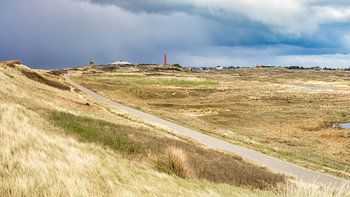 Huisduinen in het landschap met vuurtoren