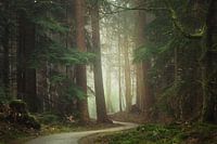 Mystical path