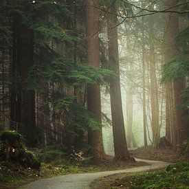 Mystical path van Roelie Steinmann