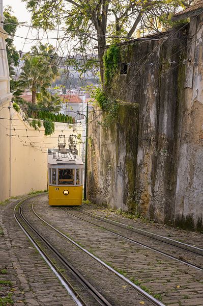 The Elevador do Lavra - Beautiful Lisbon by Rolf Schnepp