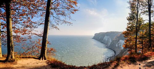 Chalk cliffs - Autumn at the Stubbenkammer