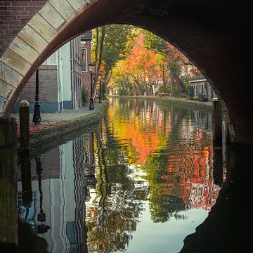 Zicht op Twijnstraat aan de Werf in Utrecht in de herfst