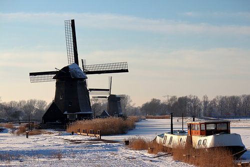 Holländische alte Windmühlen im Winter