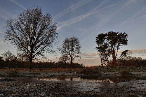 Wärme in der Winterkälte