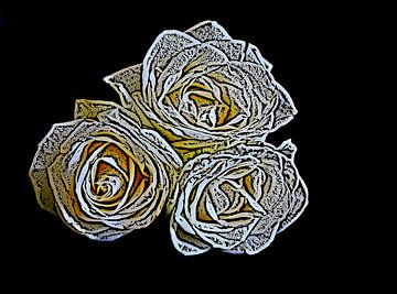 Rosen von Jose Lok