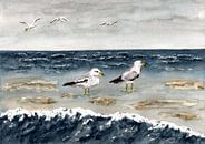 Seagulls by the sea by Sandra Steinke thumbnail