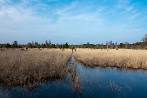 Ergens in Drenthe