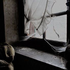 Window van Esmeralda Van de Pol