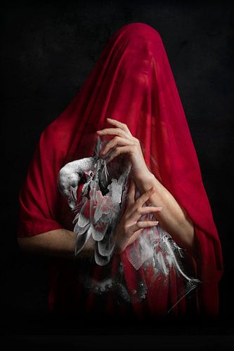 Crimson 1 sur Stoffel Beyens