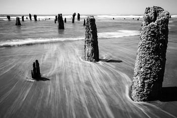 Neskowin Beach Oregon