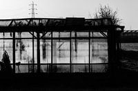greenhouse