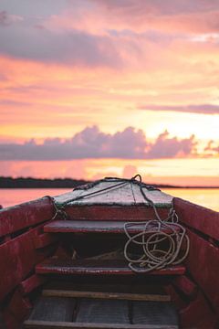 Surinam River at Sunset von Antoine Cedric