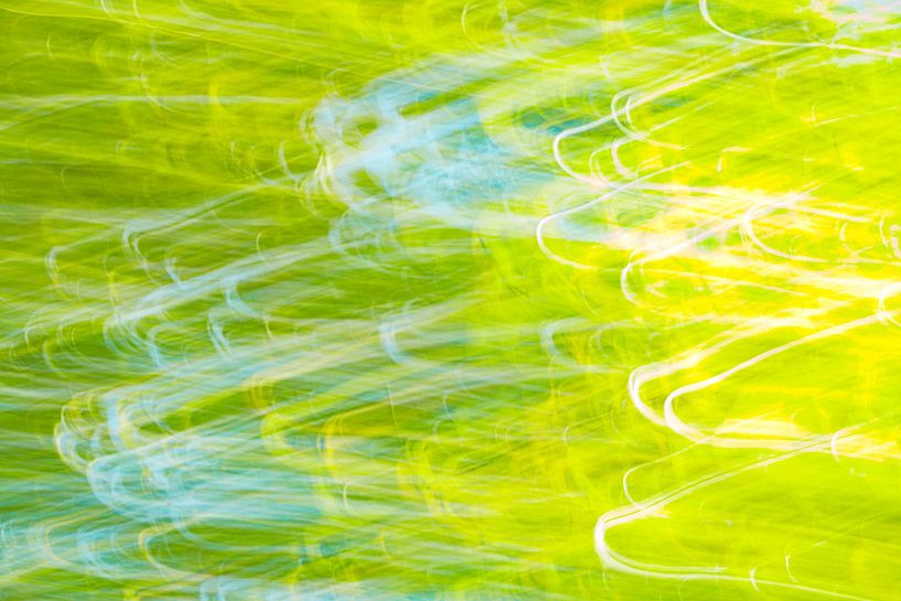 yellow boggie by Jan Peter Jansen