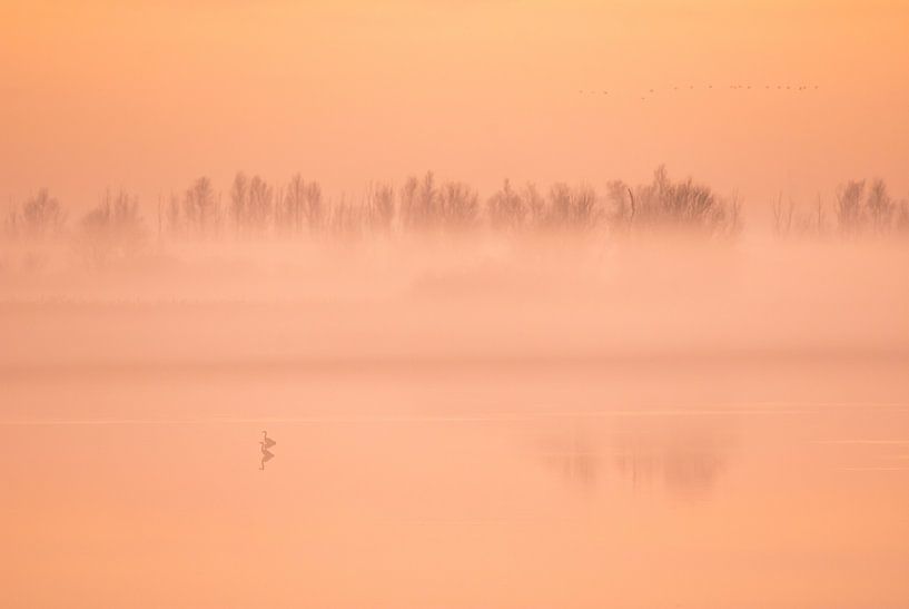 Sunset Oostvaardersplassen by Danny Slijfer Natuurfotografie