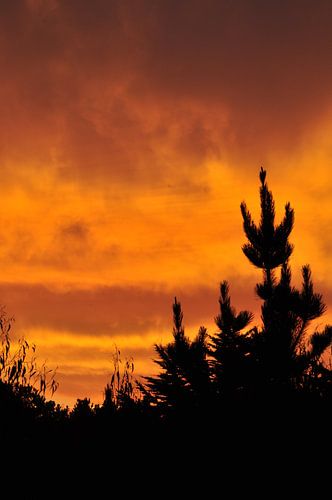 Feuriger Sonnenuntergang