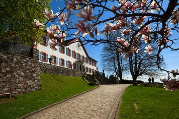 Baroque castle Bürgeln by Jürgen Wiesler