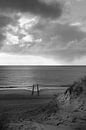 Pileheads Zeeland by Roland de Zeeuw fotografie thumbnail