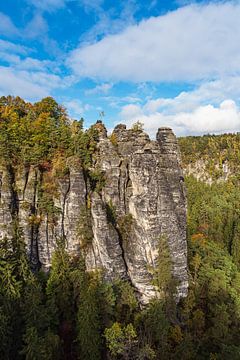 Vue sur les rochers et les arbres en Suisse saxonne sur Rico Ködder