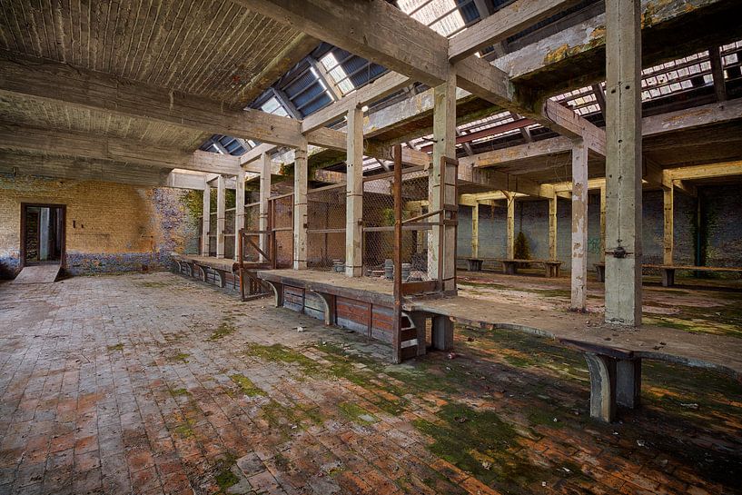 Urbex: Kristallfabrik von Carola Schellekens