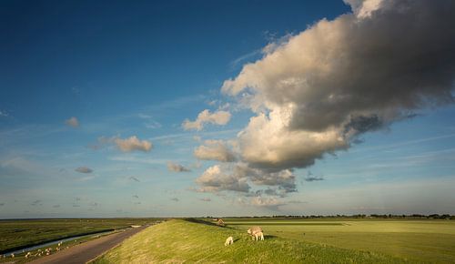 On the Waddendijk