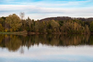 Herfstbos reflecterend in rivier van Werner Lerooy