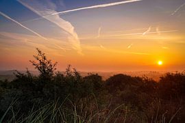 Good morning sunshine sur Celine