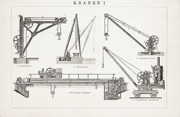 Antique print Cranes I by Studio Wunderkammer