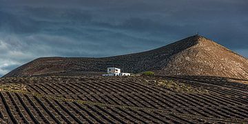 Landschap op het Spaans Canarische eiland Lanzarote van Harrie Muis