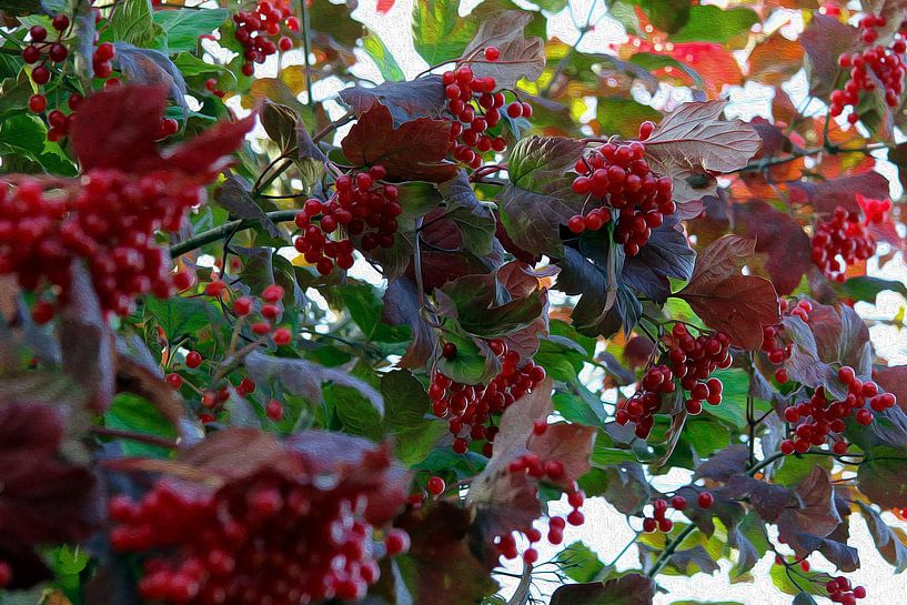 Rouge Viorne Obier par Amiran Tchikhinachvili