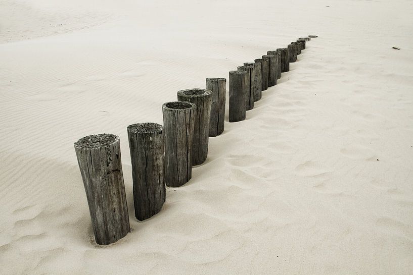 Golfbrekers aan de kust by Abra van Vossen