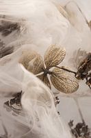 Landelijk met een vleugje rook