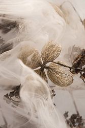 Landelijk met een vleugje rook