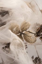 Rustic with a hint of smoke by Marjolijn van den Berg