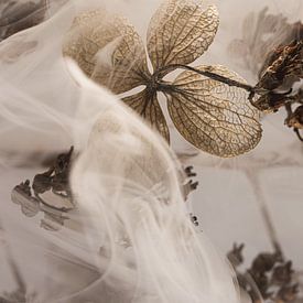 Rustique avec un soupçon de fumée sur Marjolijn van den Berg