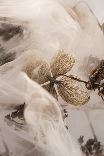 Rustique avec un soupçon de fumée sur Marjolijn van den Berg