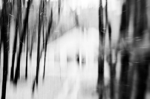 Haus im Wald in schwarz und weiß