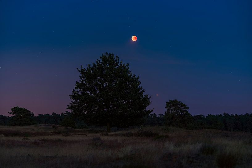 Maansverduistering en Mars boven de Veluwe par Rick Kloekke