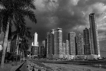 Panama city skyline with palm trees by Marlo Brochard