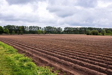 Akker in Assebroek van Melissa Wellens