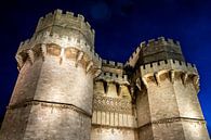 Torres de Serranos à Valence par Dieter Walther Aperçu