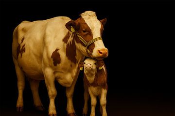 Vache avec veau sur Bert Quaedvlieg