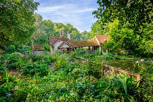 London | Bunter Garten von Duck Island Cottage, St. James's Park | Naturfotografie