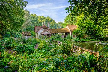 Kleurrijke tuin van Duck Island Cottage, St. James's Park Londen | Natuur & Landschapsfotografie