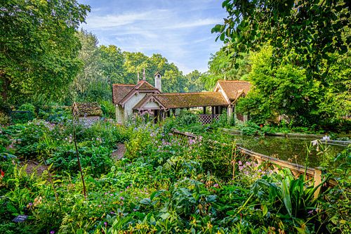 Kleurrijke tuin van Duck Island Cottage, St. James's Park Londen | Natuur &amp; Landschapsfotografie