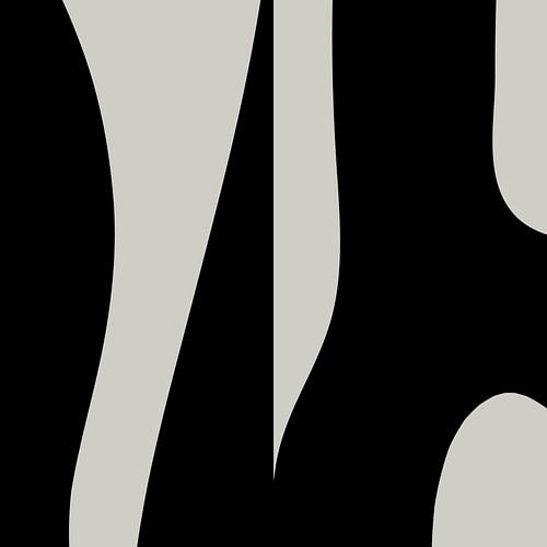 Zwarte Abstracte Organische Geometrische Vormen nr. 8