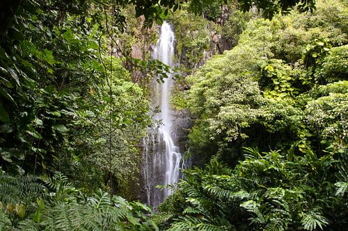Waimoku waterval