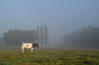 La campagne, vache au pâturage par Els Royackers Aperçu