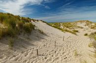 dunes hollandaises par Menno Schaefer Aperçu